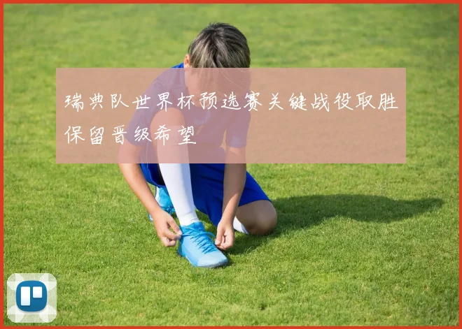 瑞典队世界杯预选赛关键战役取胜保留晋级希望