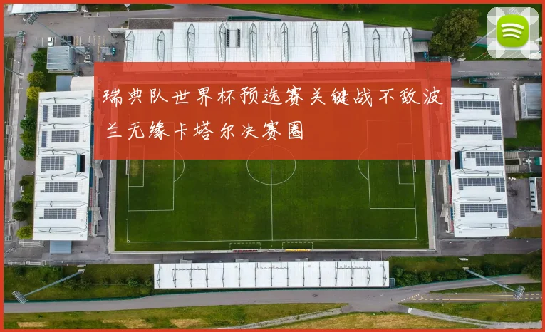 瑞典队世界杯预选赛关键战不敌波兰无缘卡塔尔决赛圈